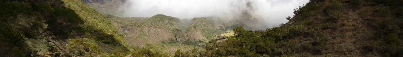Paysage caractéristique : La Réunion