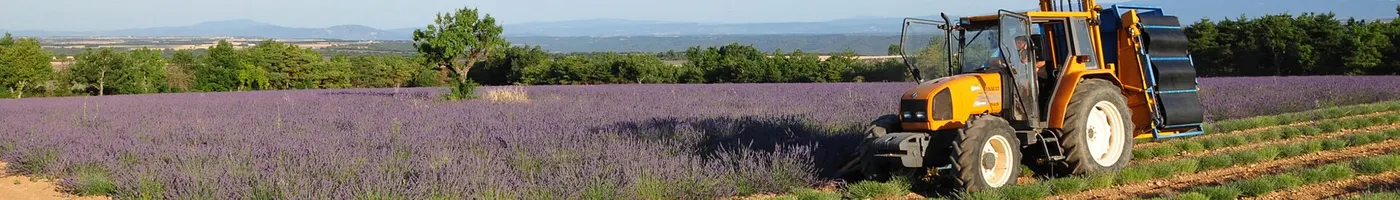 Paysage caractéristique : Provence-Alpes-Côte d'Azur